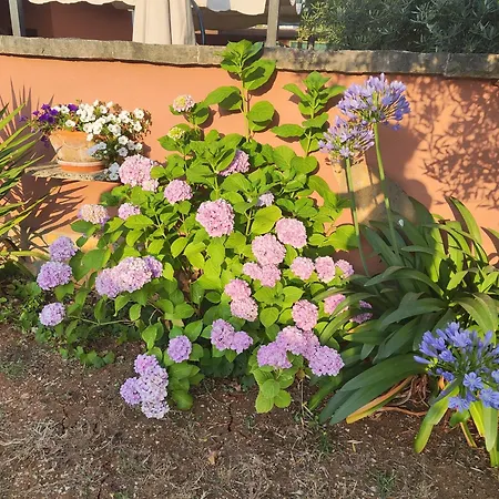 卡塔琳娜旅馆