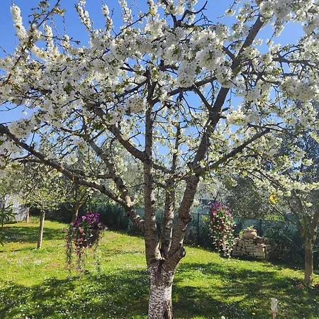 Gostinjska kuća Katarina
