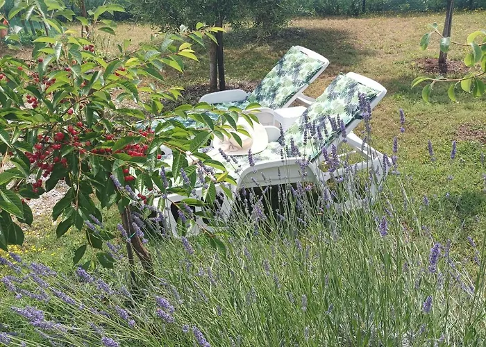 卡塔琳娜旅馆 招待所 3*